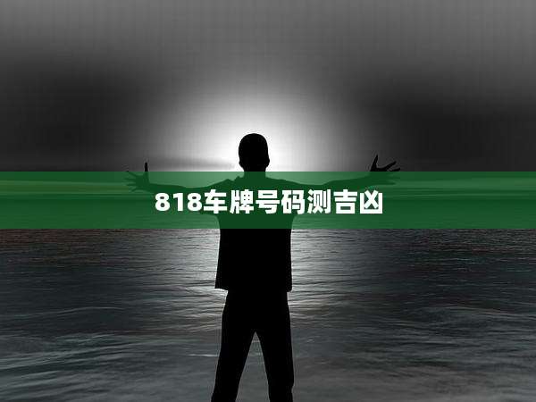 818车牌号码测吉凶