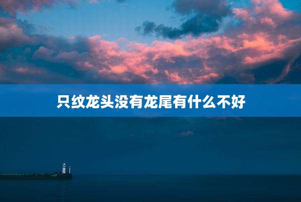 只纹龙头没有龙尾有什么不好