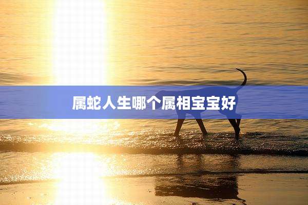 属蛇人生哪个属相宝宝好