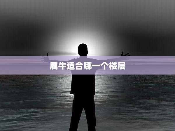 属牛适合哪一个楼层