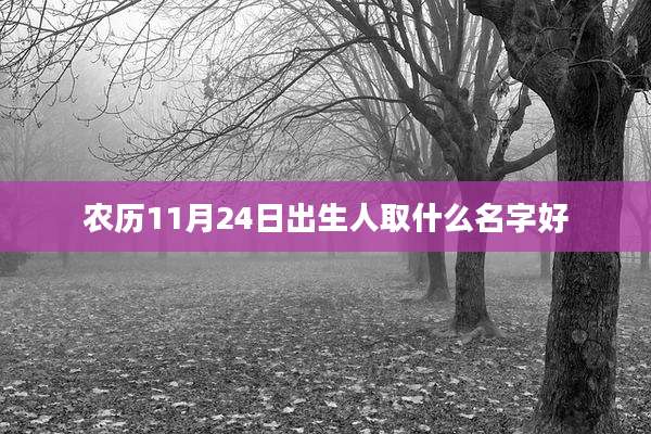 农历11月24日出生人取什么名字好