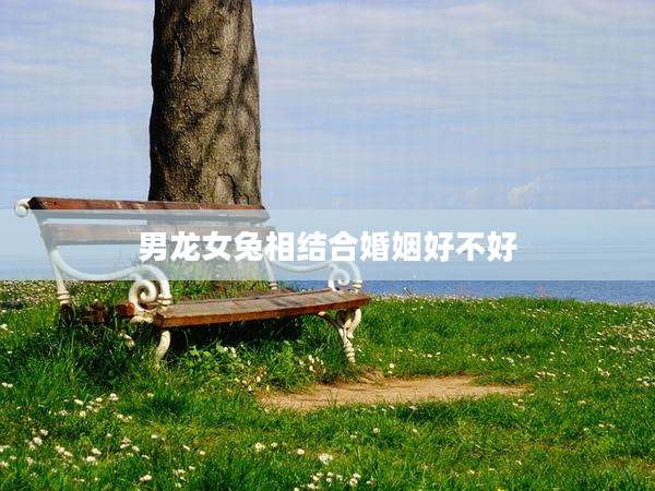 男龙女兔相结合婚姻好不好