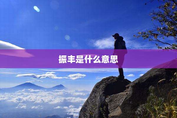 振丰是什么意思