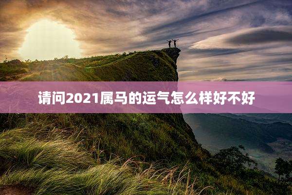 请问2021属马的运气怎么样好不好