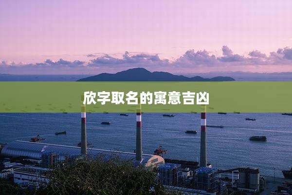 欣字取名的寓意吉凶
