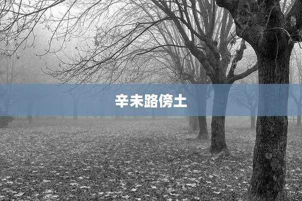 辛未路傍土