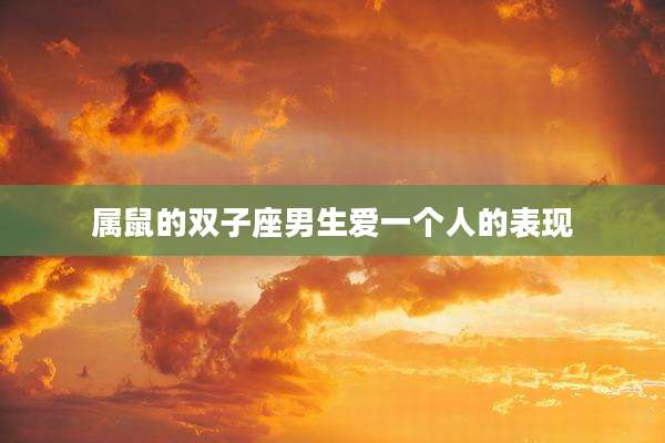 属鼠的双子座男生爱一个人的表现