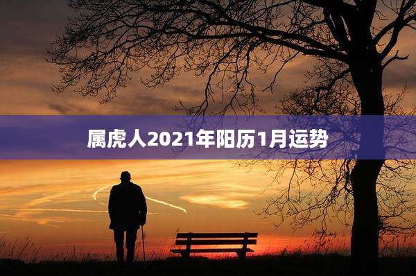 属虎人2021年阳历1月运势