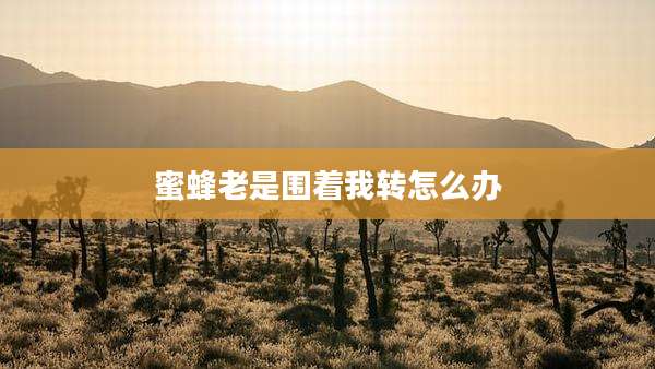 蜜蜂老是围着我转怎么办