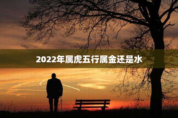 2022年属虎五行属金还是水
