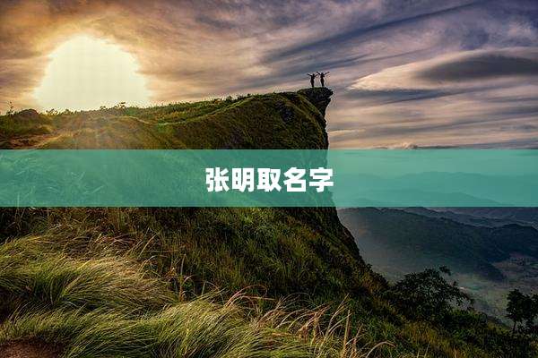 张明取名字