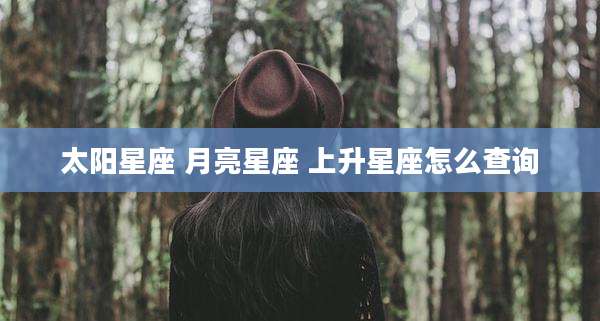 太阳星座 月亮星座 上升星座怎么查询