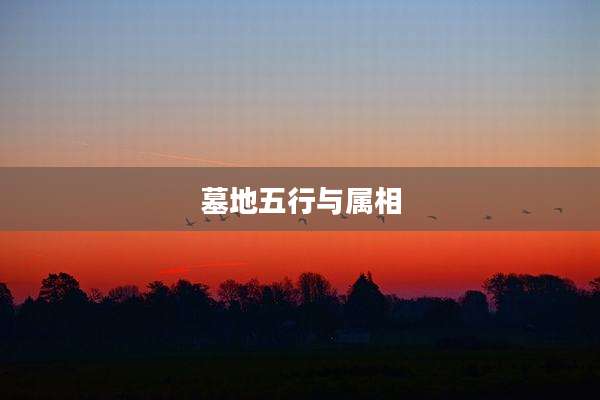 墓地五行与属相