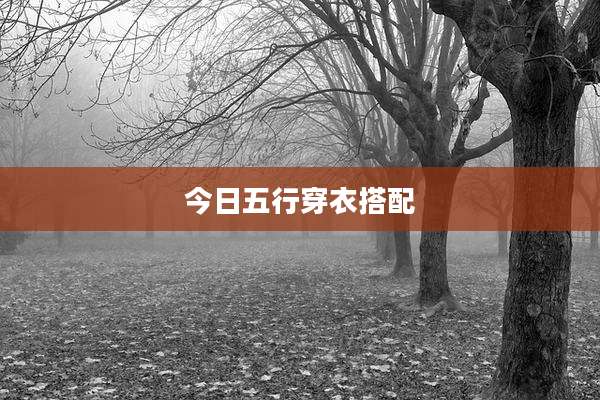 今日五行穿衣搭配