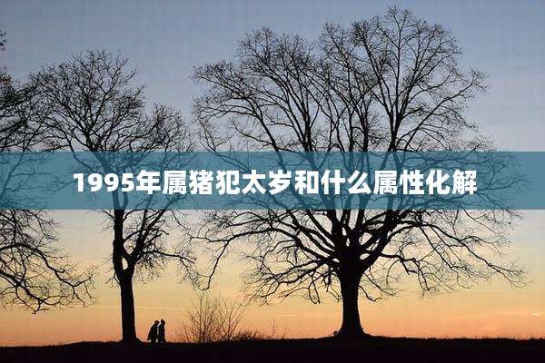 1995年属猪犯太岁和什么属性化解