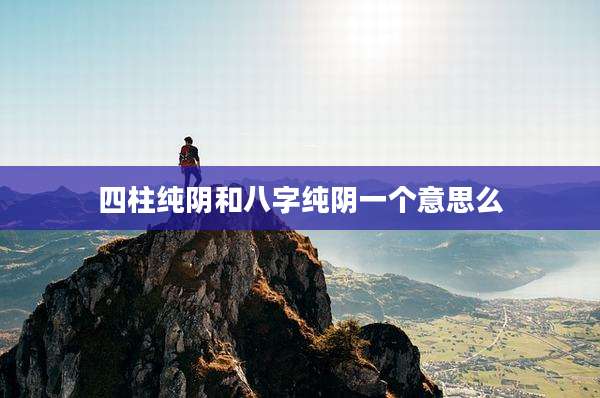 四柱纯阴和八字纯阴一个意思么