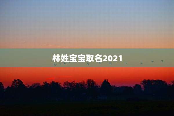 林姓宝宝取名2021