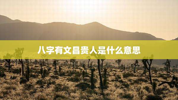 八字有文昌贵人是什么意思