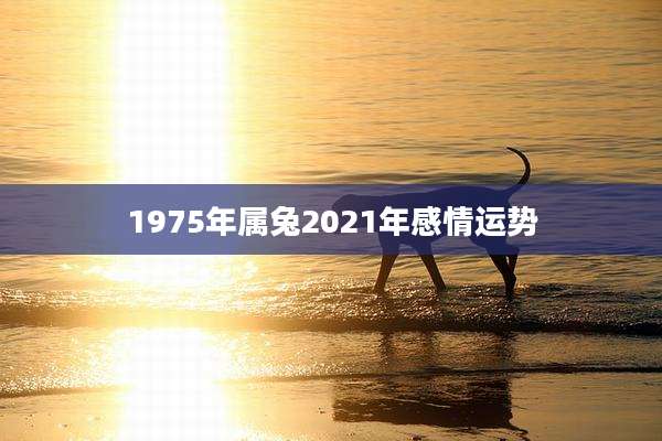 1975年属兔2021年感情运势