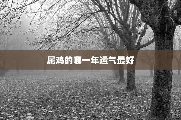 属鸡的哪一年运气最好