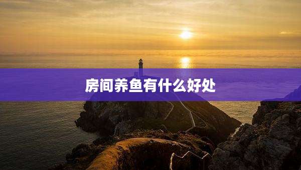 房间养鱼有什么好处
