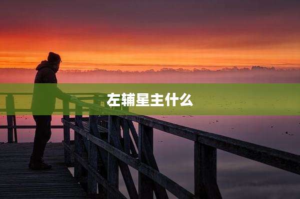 左辅星主什么
