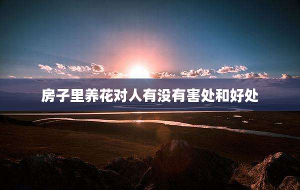 房子里养花对人有没有害处和好处