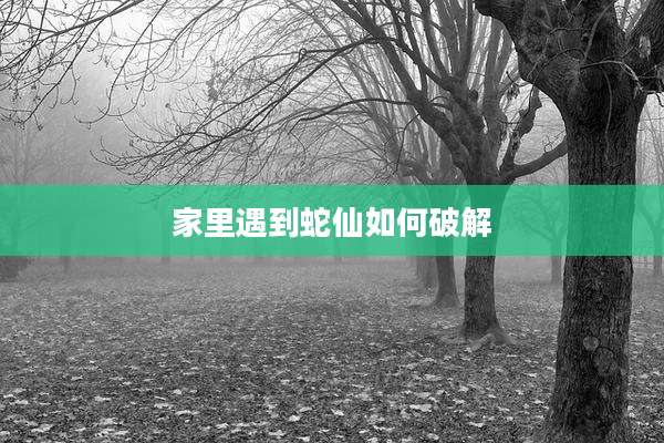 家里遇到蛇仙如何破解