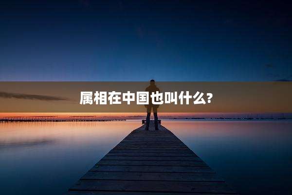 属相在中国也叫什么?
