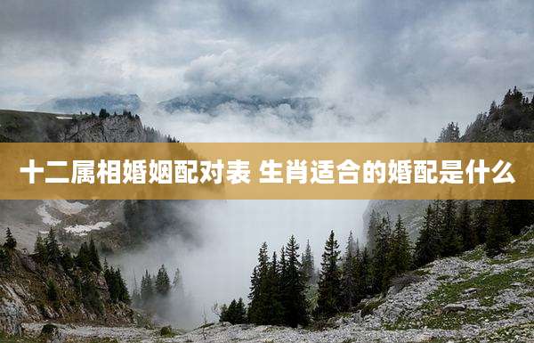 十二属相婚姻配对表 生肖适合的婚配是什么