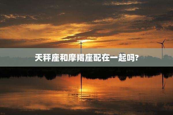 天秤座和摩羯座配在一起吗?