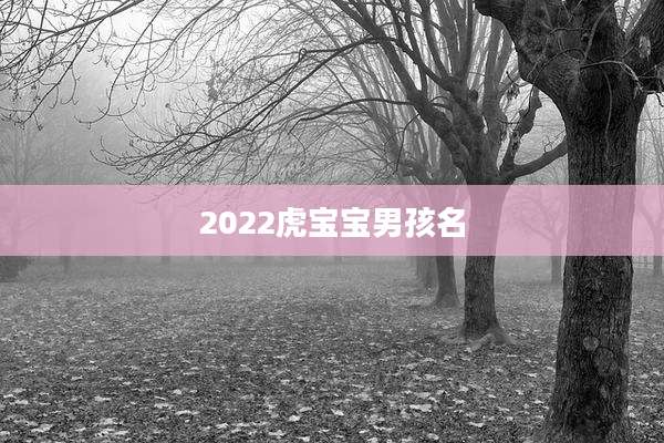 2022虎宝宝男孩名