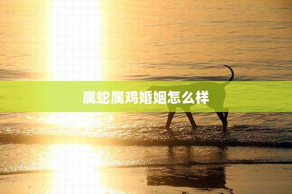 属蛇属鸡婚姻怎么样
