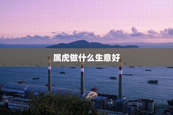 属虎做什么生意好