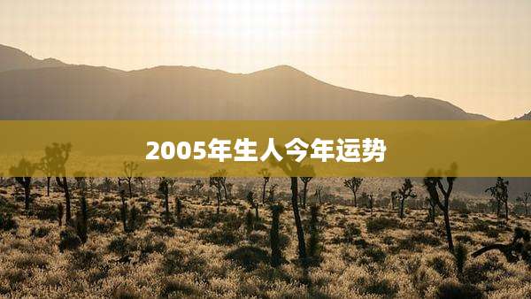 2005年生人今年运势