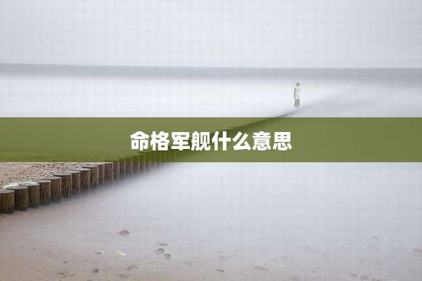 命格军舰什么意思