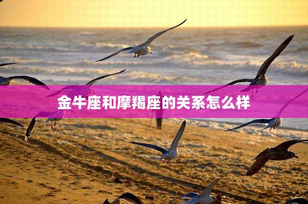 金牛座和摩羯座的关系怎么样