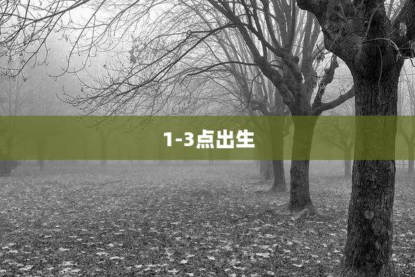 1-3点出生