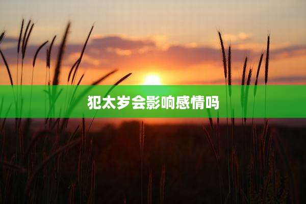 犯太岁会影响感情吗