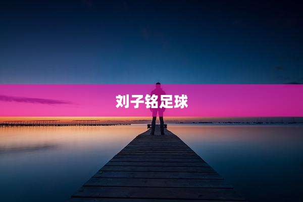 刘子铭足球