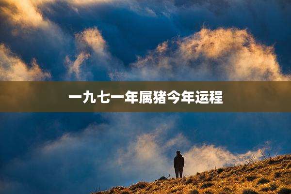 一九七一年属猪今年运程