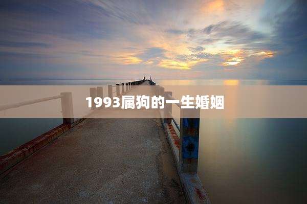 1993属狗的一生婚姻