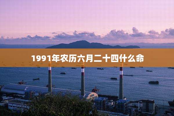 1991年农历六月二十四什么命
