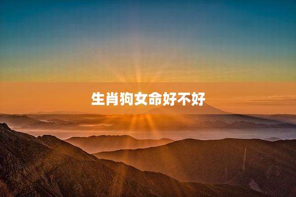 生肖狗女命好不好