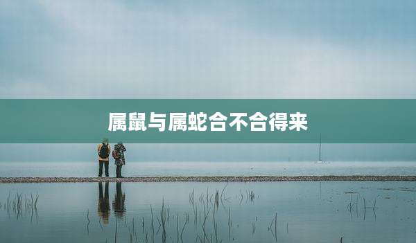 属鼠与属蛇合不合得来