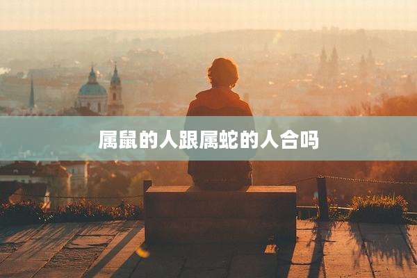 属鼠的人跟属蛇的人合吗
