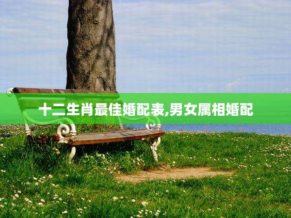 十二生肖最佳婚配表,男女属相婚配