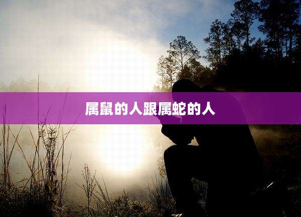 属鼠的人跟属蛇的人