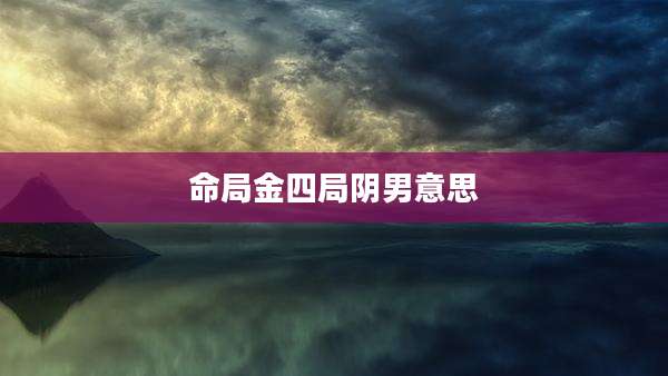 命局金四局阴男意思