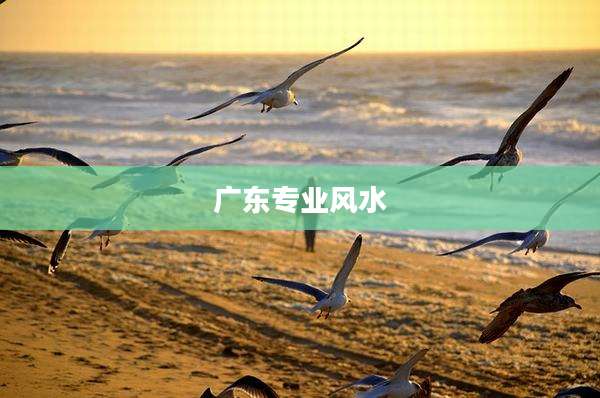 广东专业风水